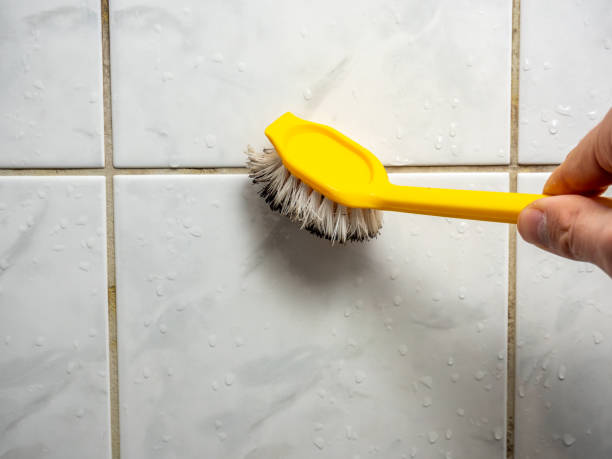Best Best Mold Removal Companies  in Danville, CA