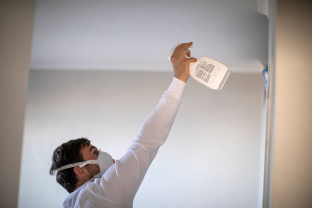 Best Emergency Mold Removal  in Danville, CA