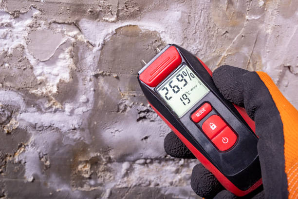 Best Mold Removal Company Near Me  in Danville, CA