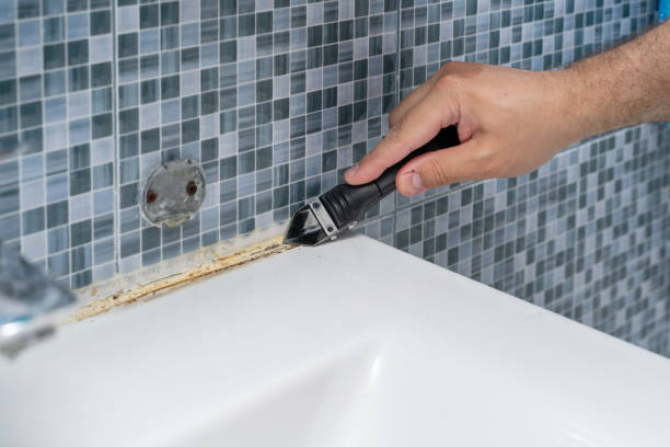 Best Residential Mold Removal  in Danville, CA