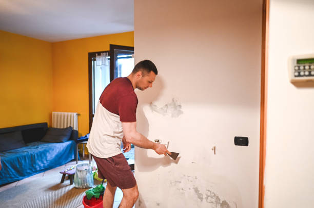 Best Mold Damage Repair  in Danville, CA